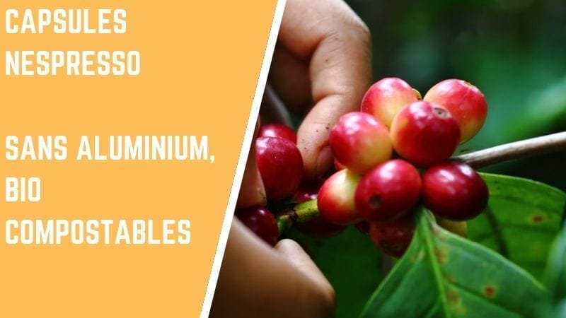 Des capsules Nespresso sans aluminium, bio et compostables 1
