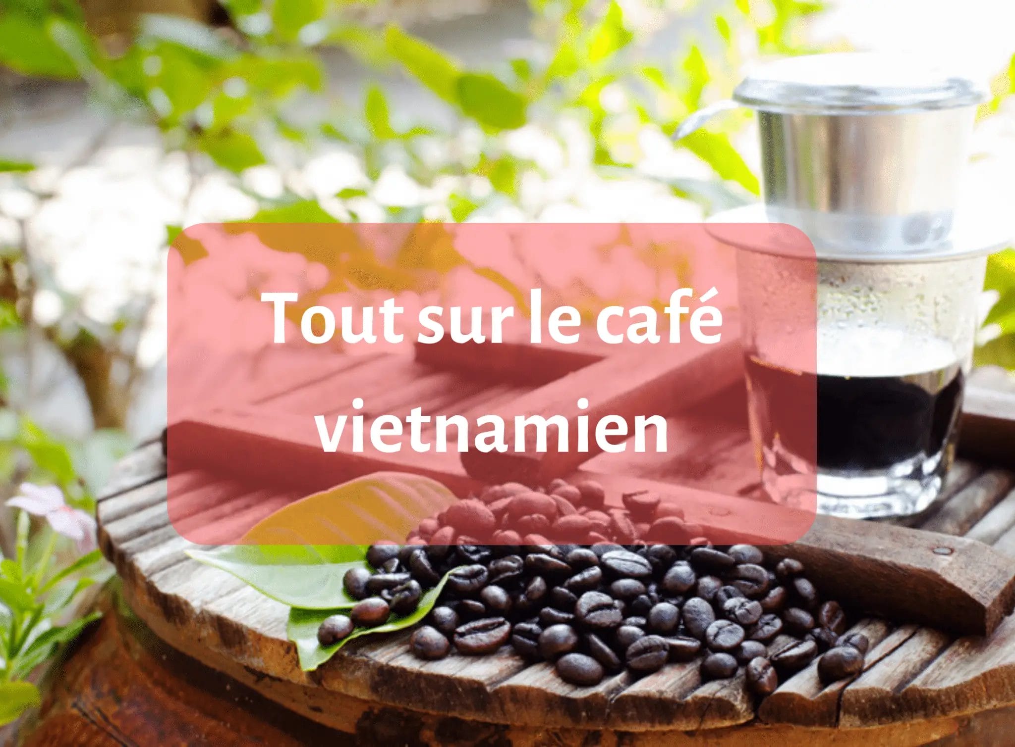 Tout sur le café vietnamien - café du monde - info - cafetière bon café