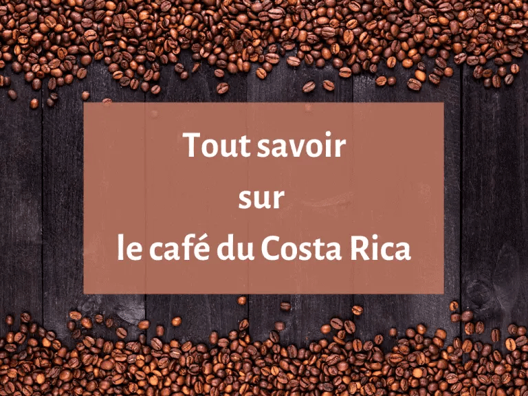 Où trouver les meilleurs cafés du Costa Rica ?