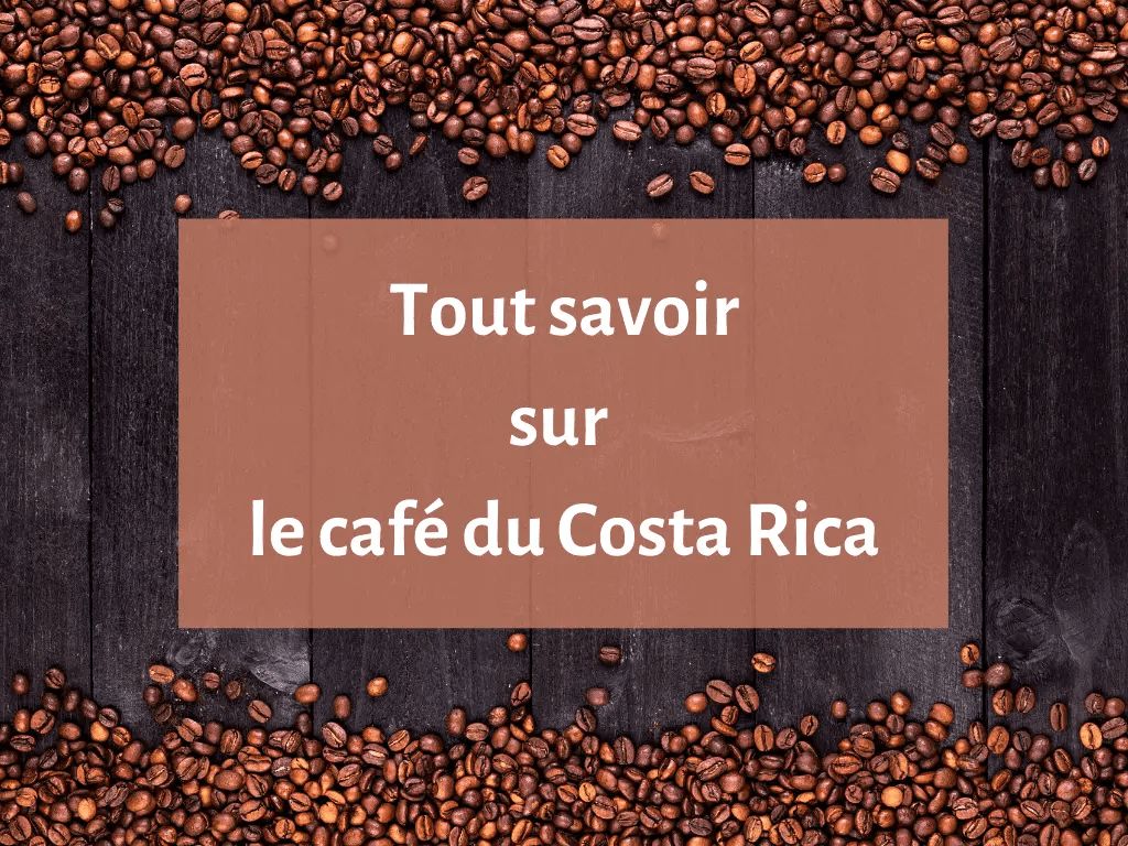 Où trouver les meilleurs cafés du Costa Rica ?