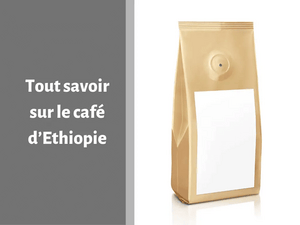 Où trouver le meilleur café d'Ethiopie ?