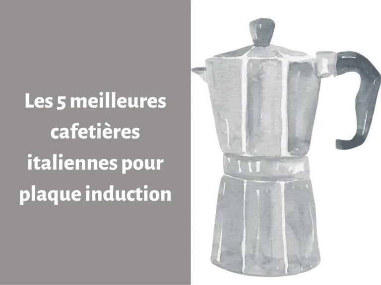 Où trouver la meilleure cafetière italienne pour plaque à induction ?