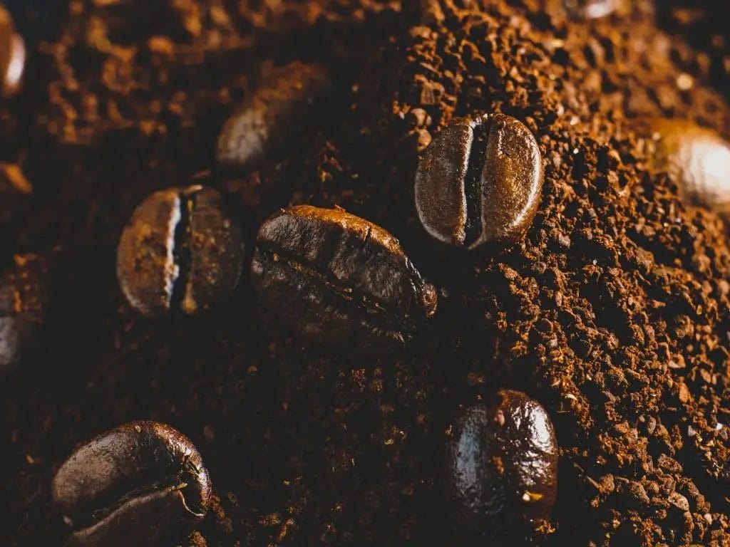 Café décaféiné en grain et poudre