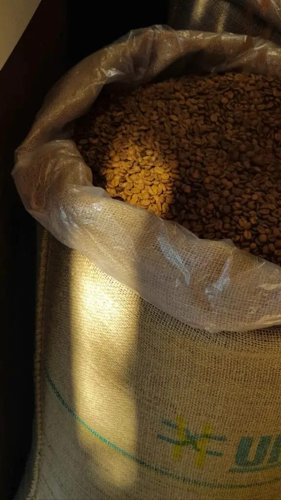 Café bio : pourquoi bien choisir son café change tout 2